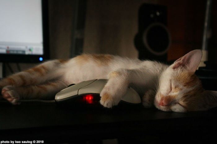 One in five Americans still without home Internet 