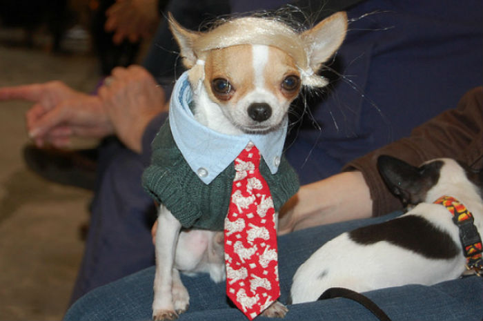 Donald Trump wants a bigger iPhone screen