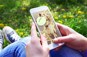 How to Switch to Cricket Wireless