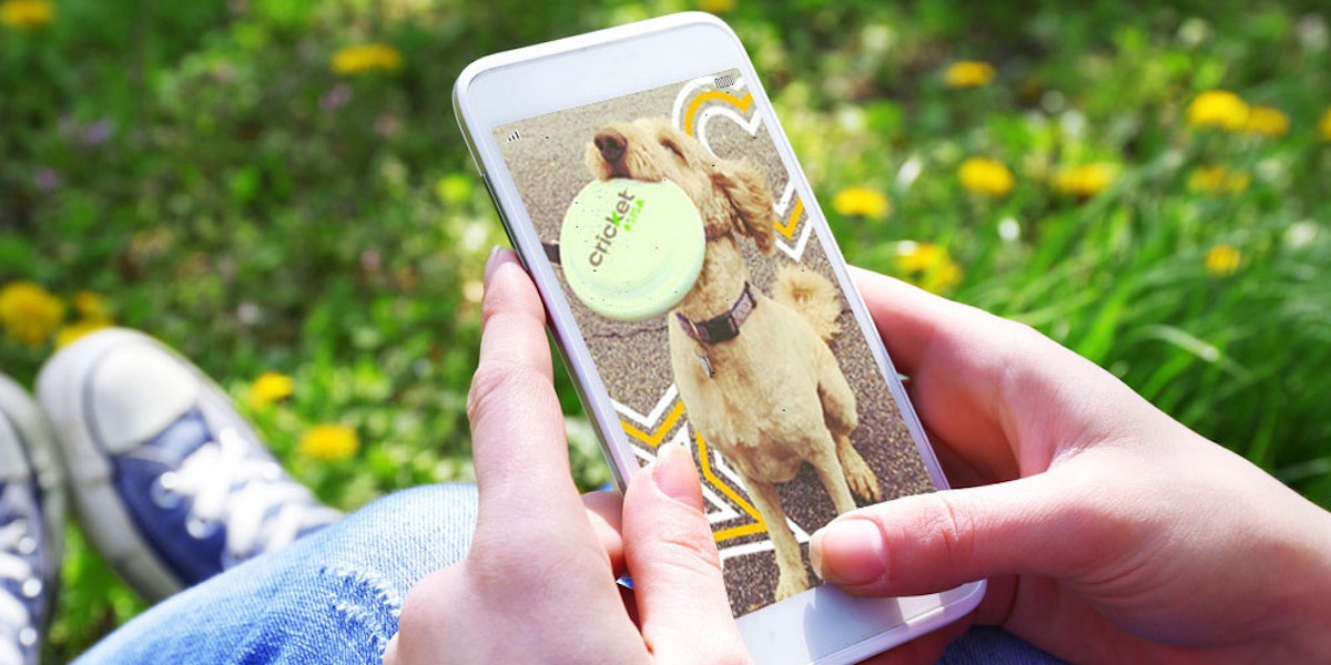 How to Switch to Cricket Wireless WhistleOut