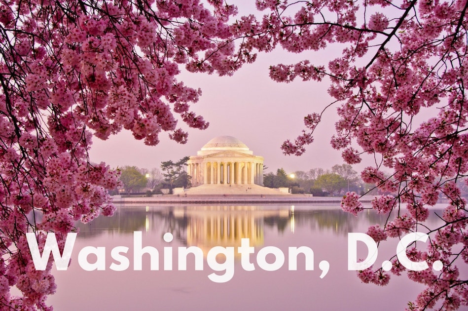 Best Cell Phone Carriers & Coverage in Washington D.C. WhistleOut