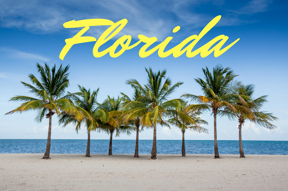 Best Cell Phone Coverage and Carriers in Florida WhistleOut