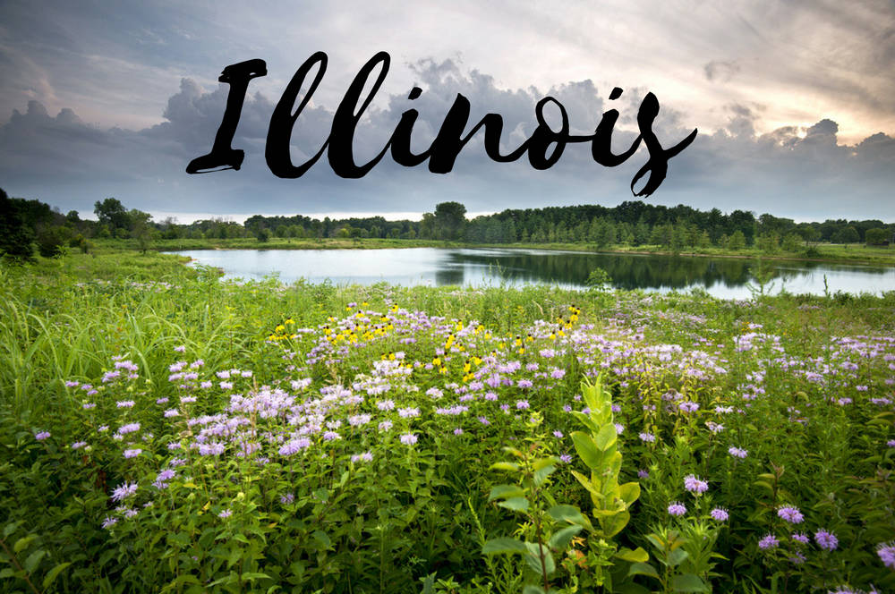 Best Internet Plans Providers In Illinois WhistleOut