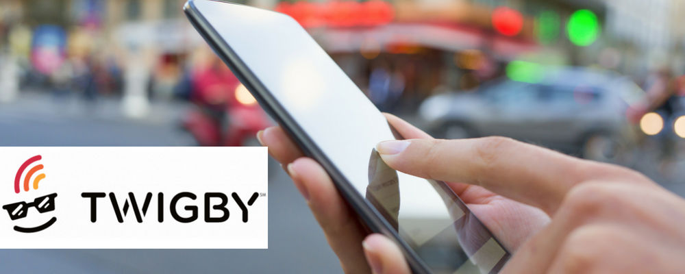 Small Carrier Spotlight: Twigby