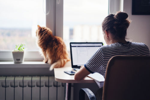 Internet Customer Service: What You Need to Know