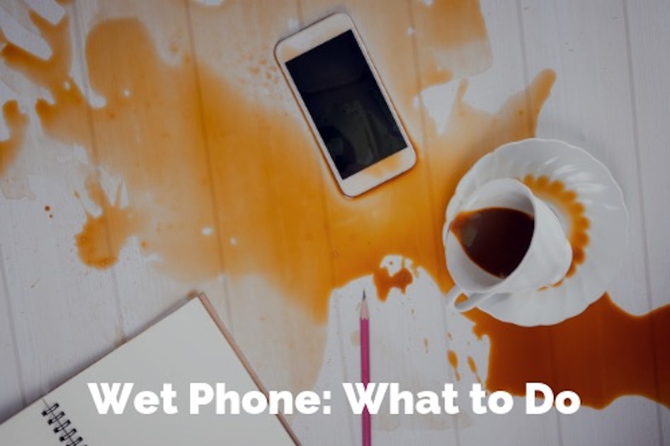 What To Do If You Drop Your Phone in Water WhistleOut
