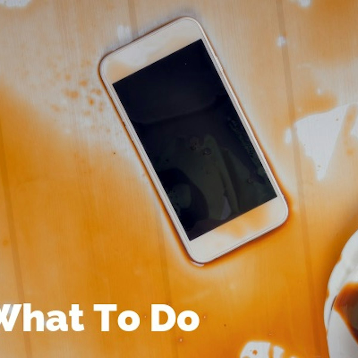 Wet Phone What To Do If You Drop Your Phone In Water Whistleout