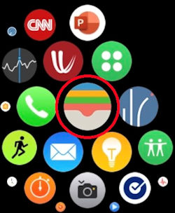 Open Wallet app on Watch