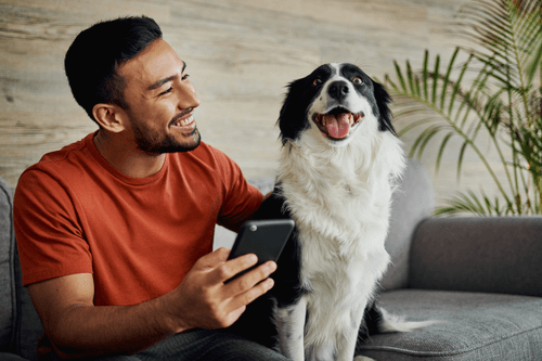 Best Net10 Phones