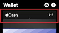 Select Apple Cash card