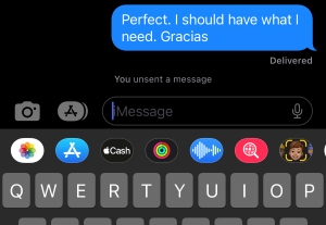 The "You unsent a message" notification appears in the text chain. 