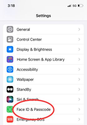 Tap Face ID and Passcode on iPhone