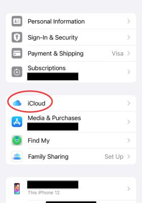 Select iCloud menu on iPhone
