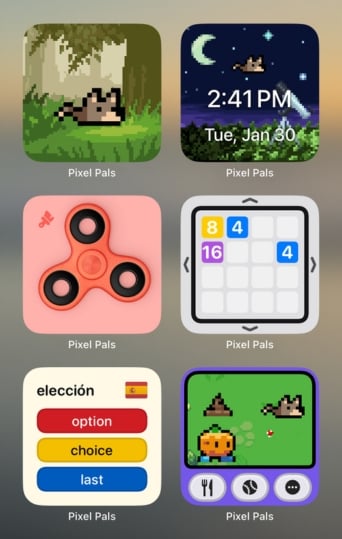 More Pixel Pals widget display options