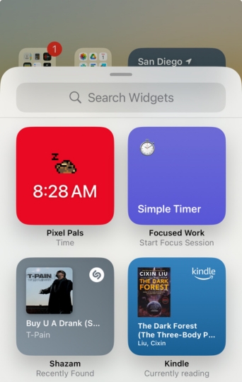 Search for widgets 