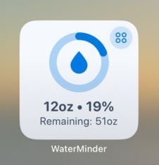 WaterMinder main widget display