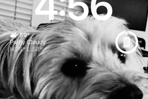 The Top 5 Ways to Customize Your iPhone Aesthetic