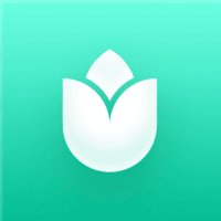 PlantIn app logo