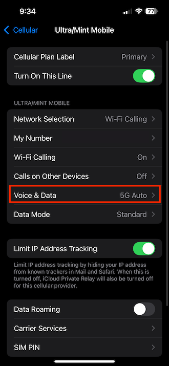 iPhone VoiceData