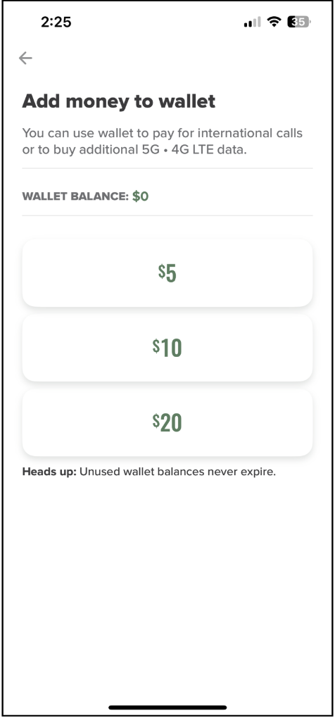 Mint wallet money options