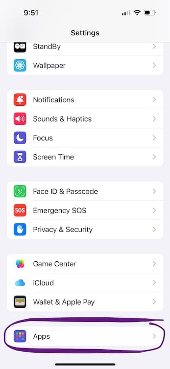 iPhone Settings scrolled down to the Apps menu tile