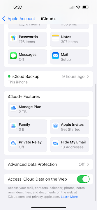 iCloud backup menu