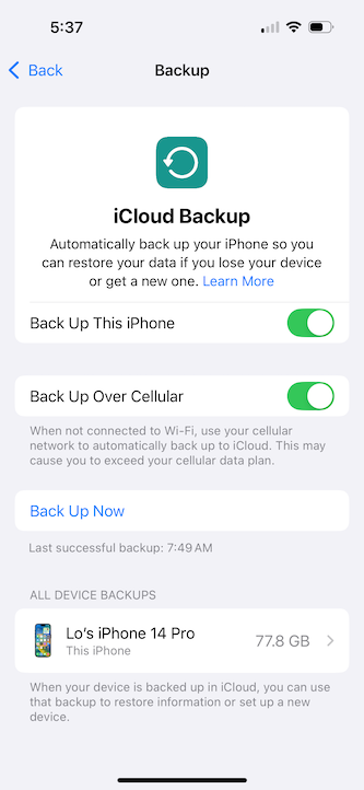 Turning on the iPhone backup option