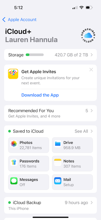 iCloud setup menu