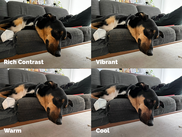 iPhone 13 Four Preset Tones Example Shots