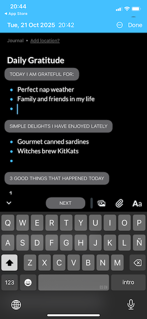 Screenshot of a Day One entry with a bullet style journal setup