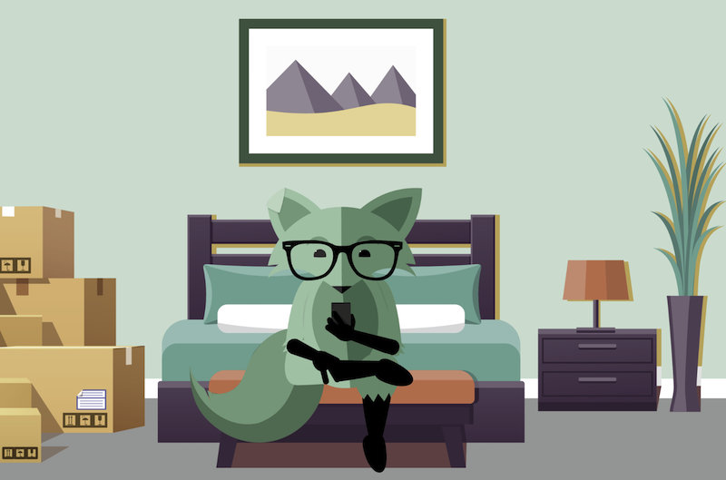 Mint's 5G Home Internet Mint fox on couch