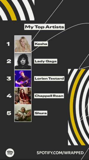 Top artists for 2025 Wrapped.