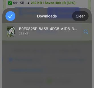 List of downloads in Safari. 