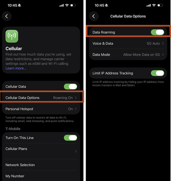 step two to turn on iphone roaming