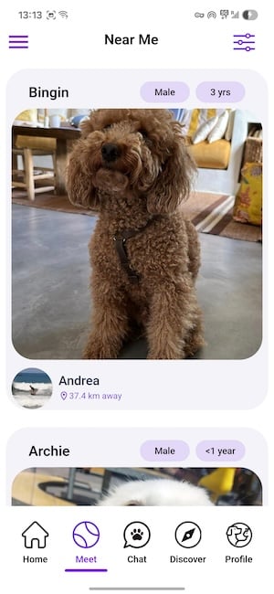 Screenshot of the Pawmates app showing local dog profiles