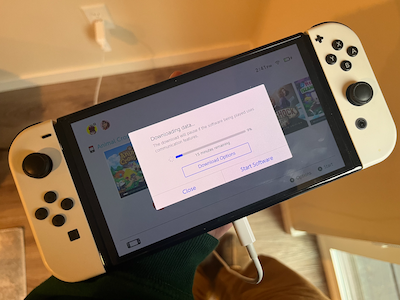 Downloading an Animal Crossing update on Nintendo Switch.