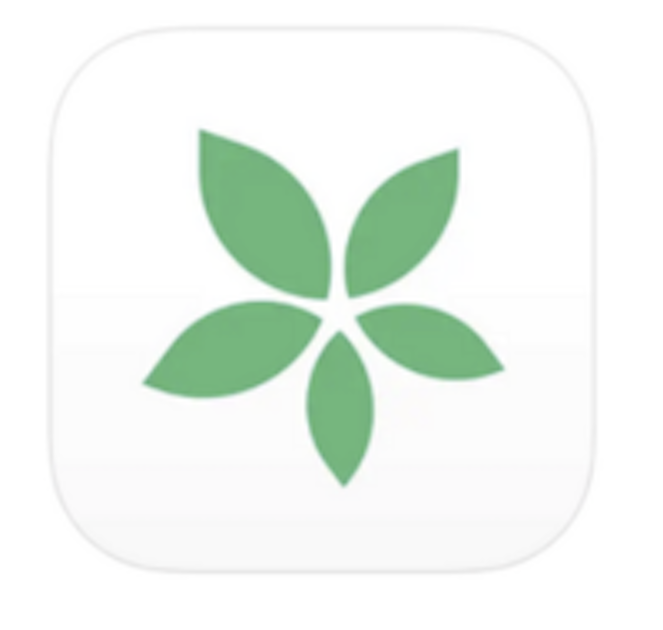 TimeTree Calendar App: Because 