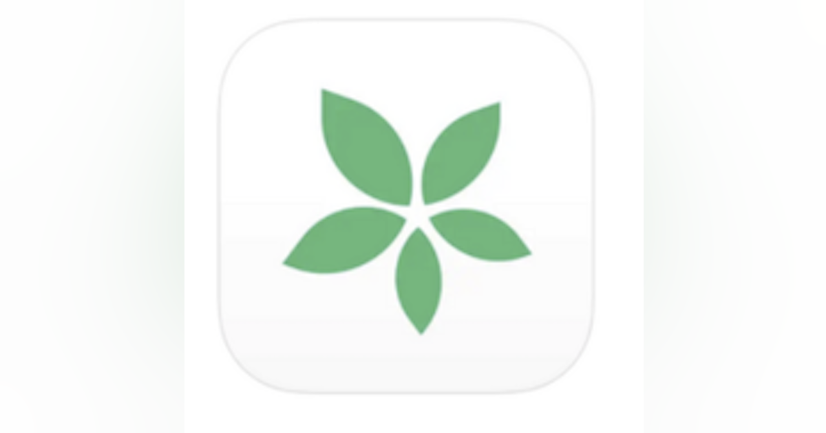 TimeTree Calendar App: Because