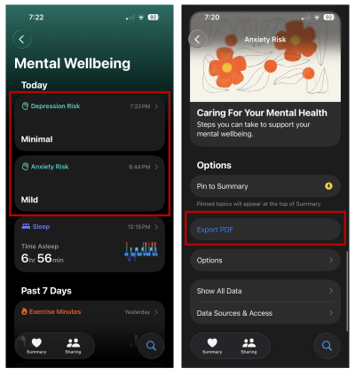 Exporting mental health records from the iPhone's Health app. 