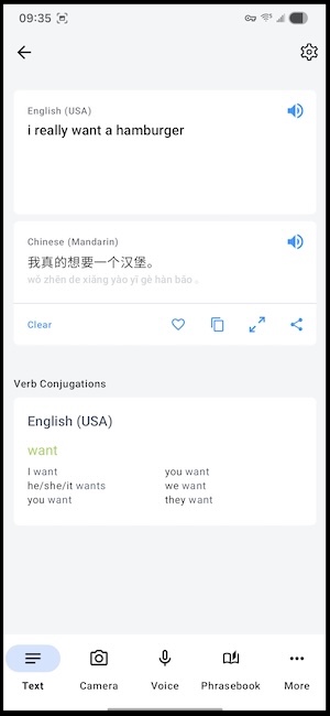 iTranslate app showing the translation feature of Chinese characters