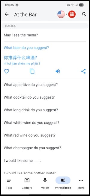 iTranslate phrasebook options