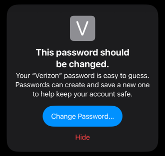 Easy to guess password alert in the Passwords app