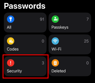 Security section of the Passwords app in iOS 26