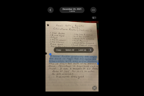 The iPhone Camera Trick That Copies Any Text You Point At