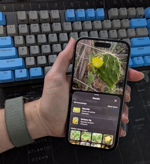 Hand holding an iPhone 14 Pro while using the Look Up tool in the Photos app. 