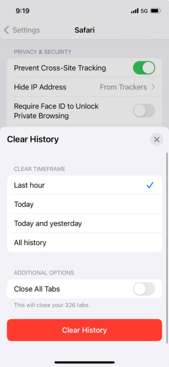 iPhone clear history menu