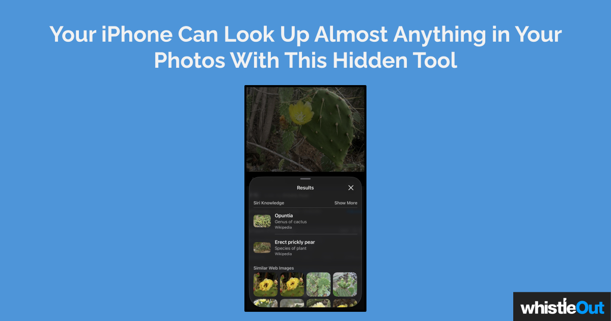 How to Use Visual Look Up on Your iPhone | WhistleOut