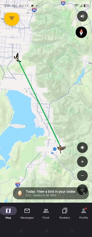 Screenshot of Roost Social showing a message in flight between two users.