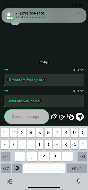Messages from Sage Haven appearing in iMessage account just like regular SMS