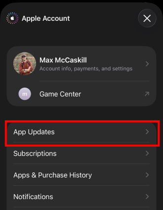 Select App Updates.